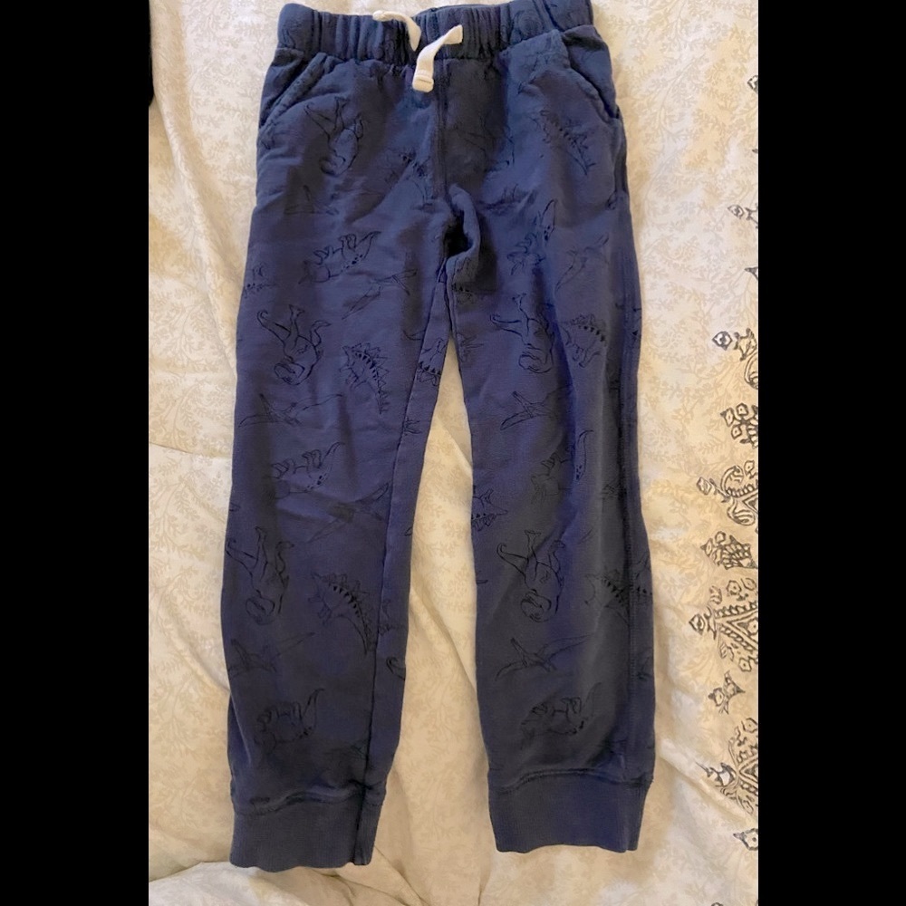Carter’s boy dinosaur pants